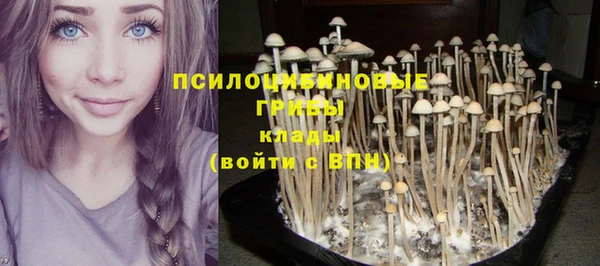 скорость Ельня