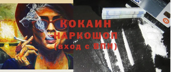 скорость Ельня