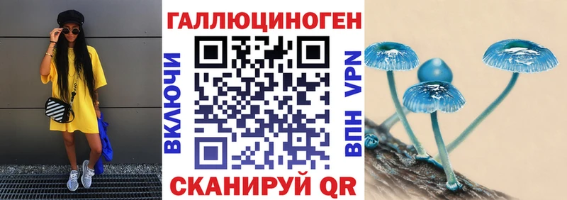 Галлюциногенные грибы Psilocybe  Тула 